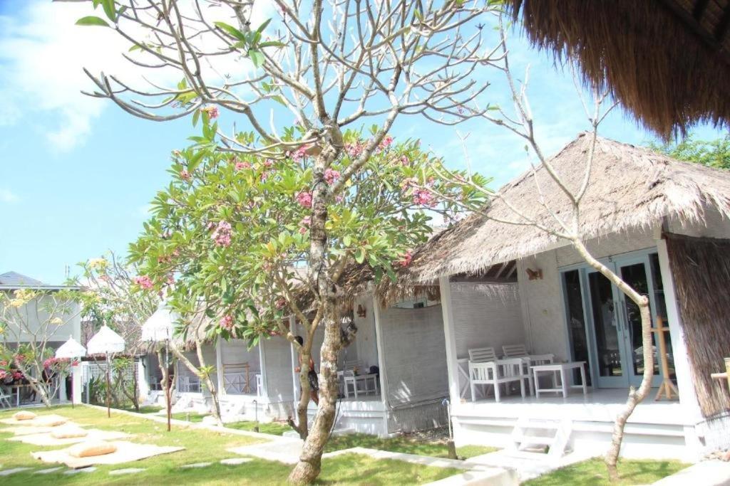 Dream Cowork Hotel Kuta  Esterno foto